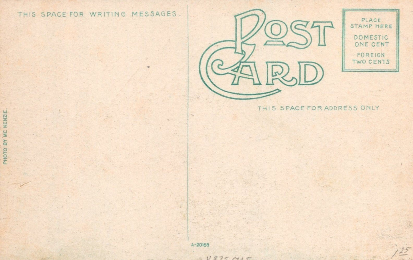 Great Lakes Ship Pittsburg Coal Co Docks Duluth MN Divided Back Postcard ZAYIX