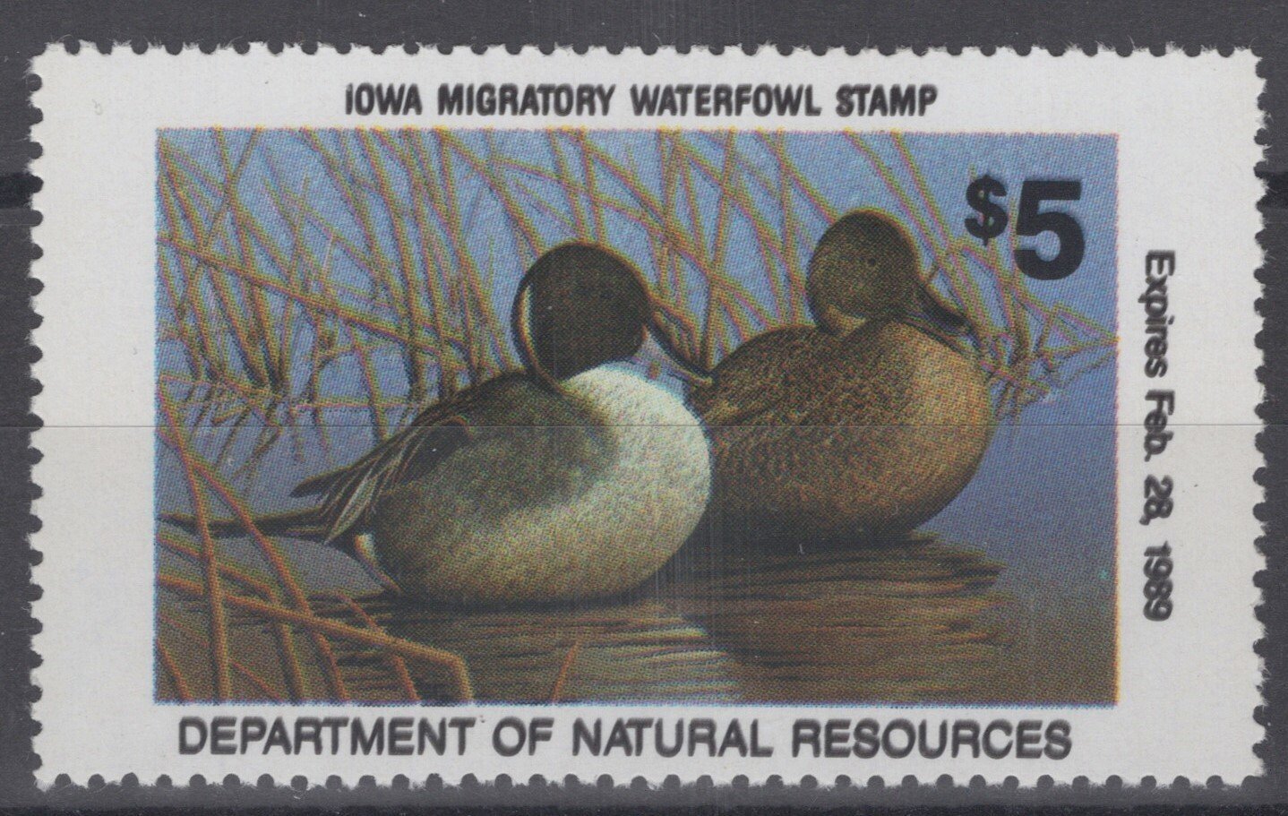 1988 Iowa 17 MNH US State Duck Stamp Birds ZAYIX 062322S42