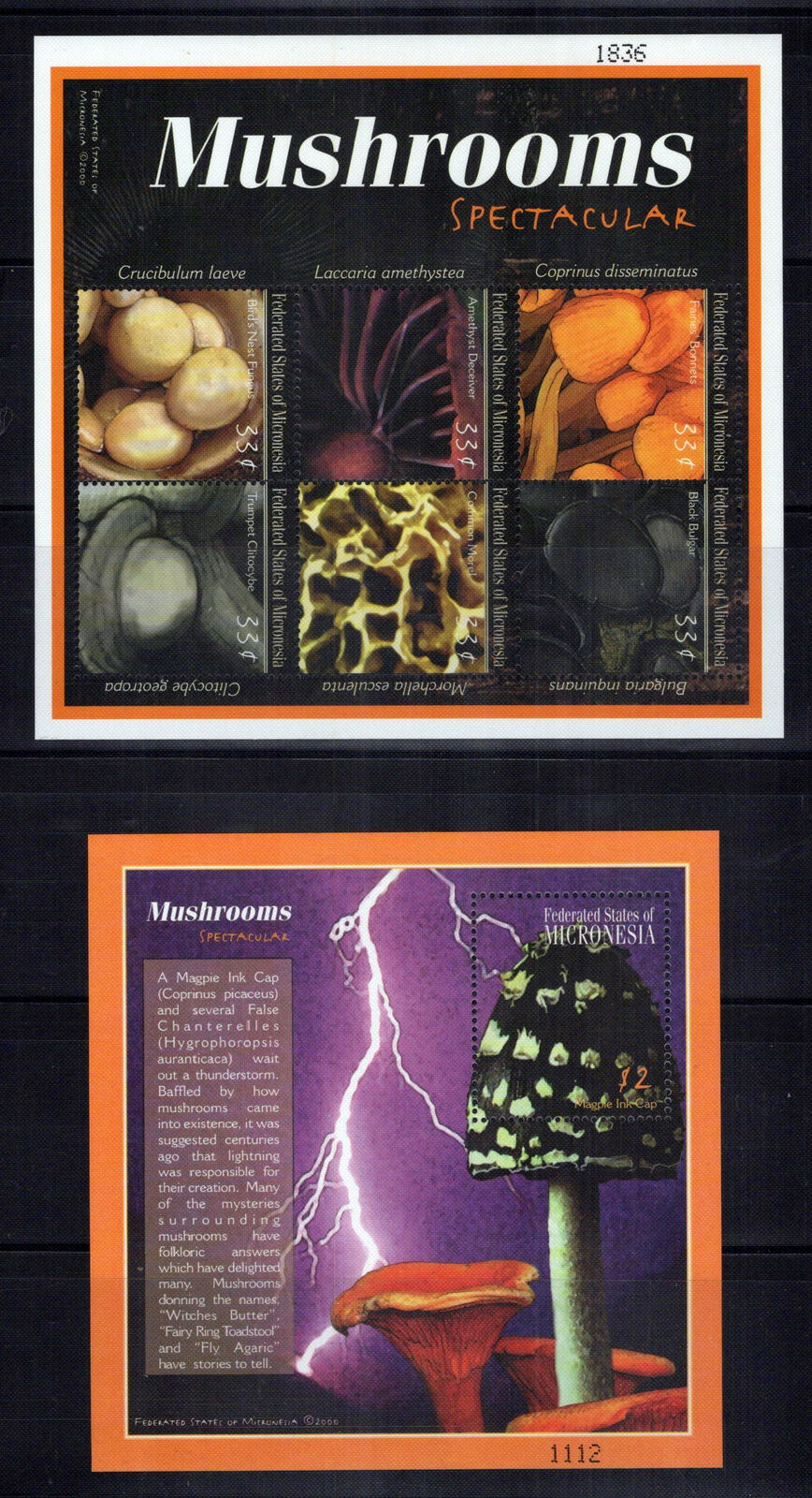 Micronesia 381-384 MNH Mushrooms Fungi Plants Nature