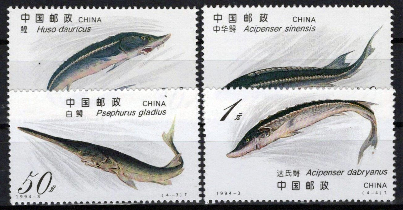 China PRC 2487-2490 MNH Sturgeon Fish ZAYIX 1224S0058