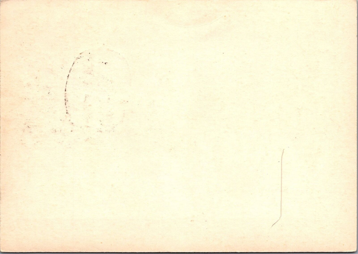 Russia / USSR Postal Card Stationery Buffalo / Mountains ZAYIX 070822SM57