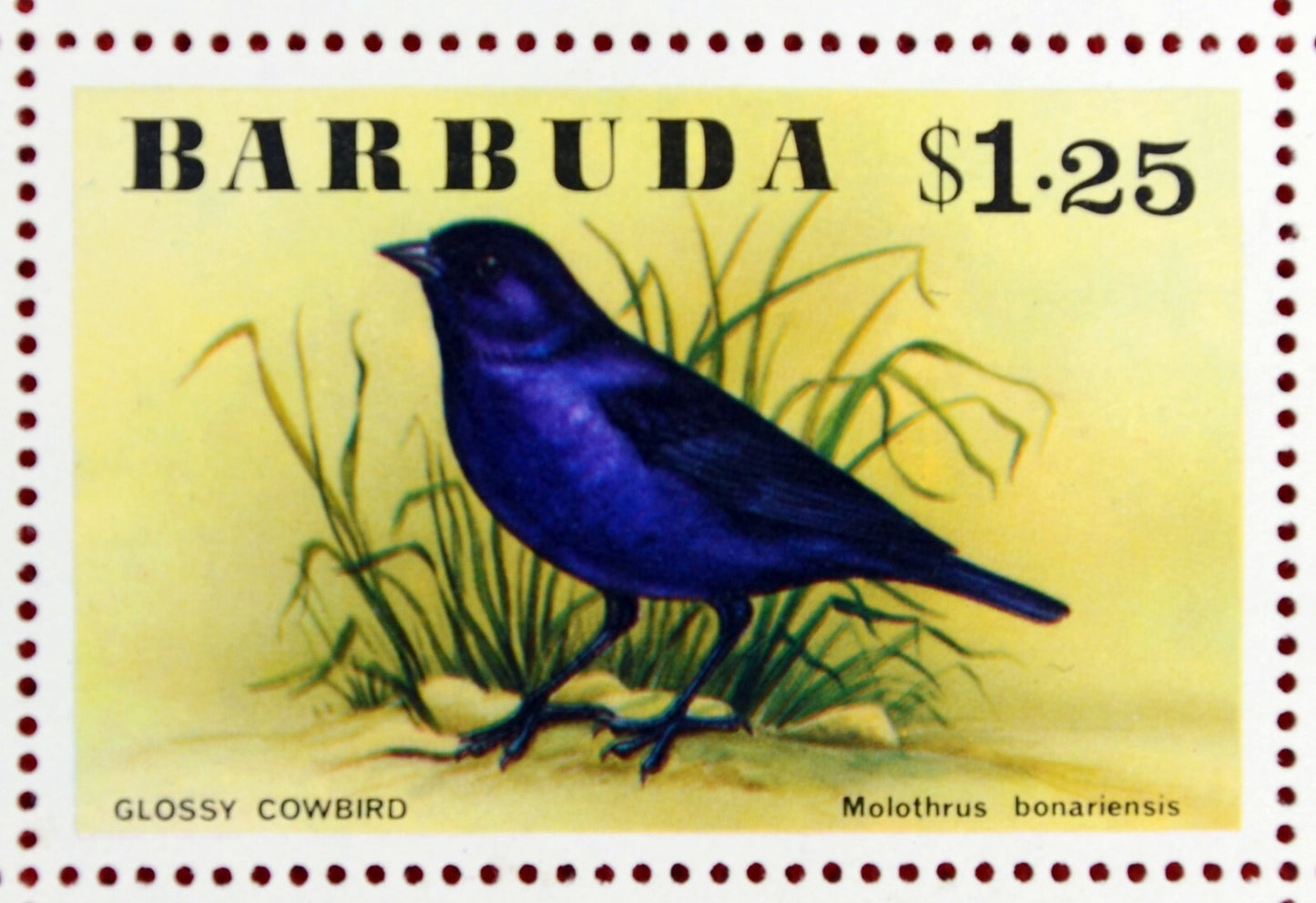 Barbuda 238-243 MNH 1976 Birds Flowers ZAYIX 0209AM05M
