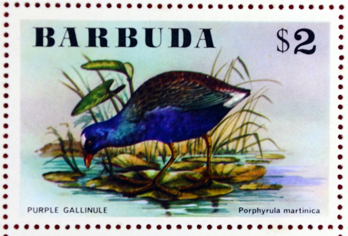 Barbuda 238-243 MNH 1976 Birds Flowers ZAYIX 0209AM05M