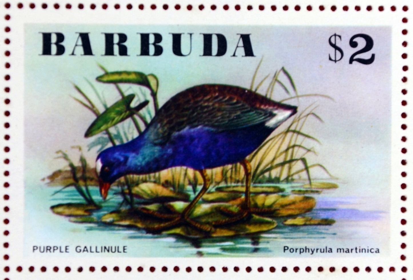 1976 Birds Flowers - Barbuda 238-243 MNH ZAYIX