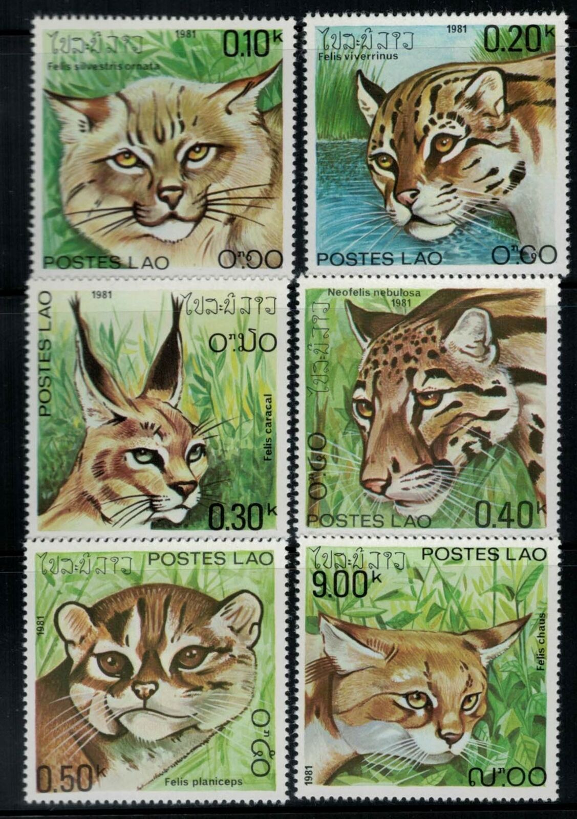 ZAYIX - Laos 346-351 MNH issued w/o gum Animals Feline Cats 031822S72M
