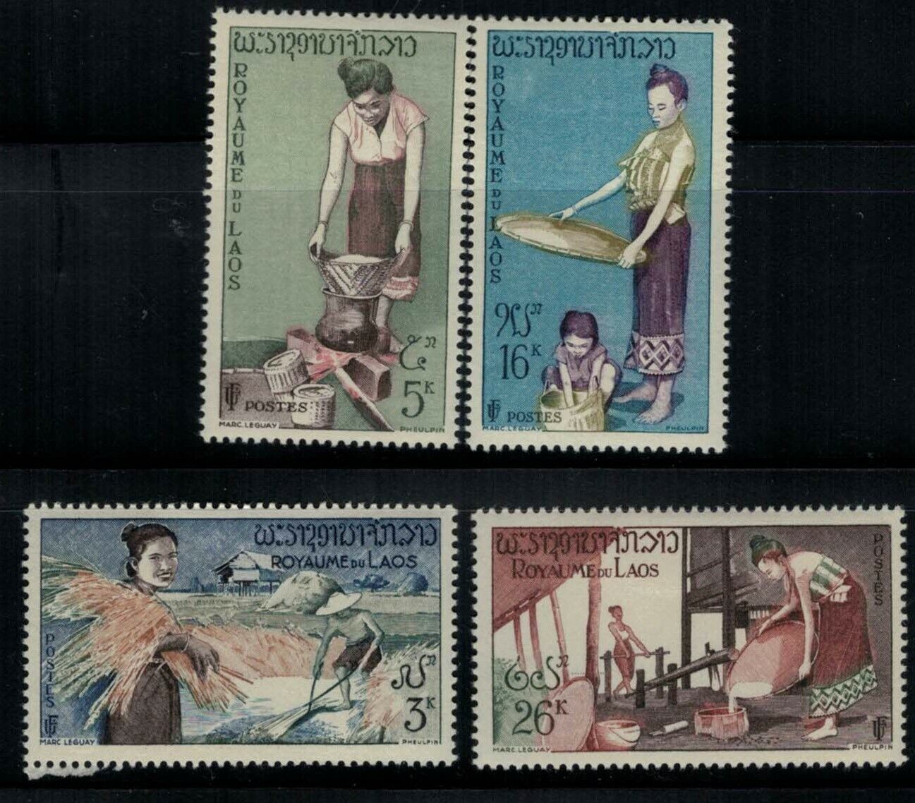 ZAYIX - Laos 37-40 MH Drying Rice Farming Agriculture 032322SM01M