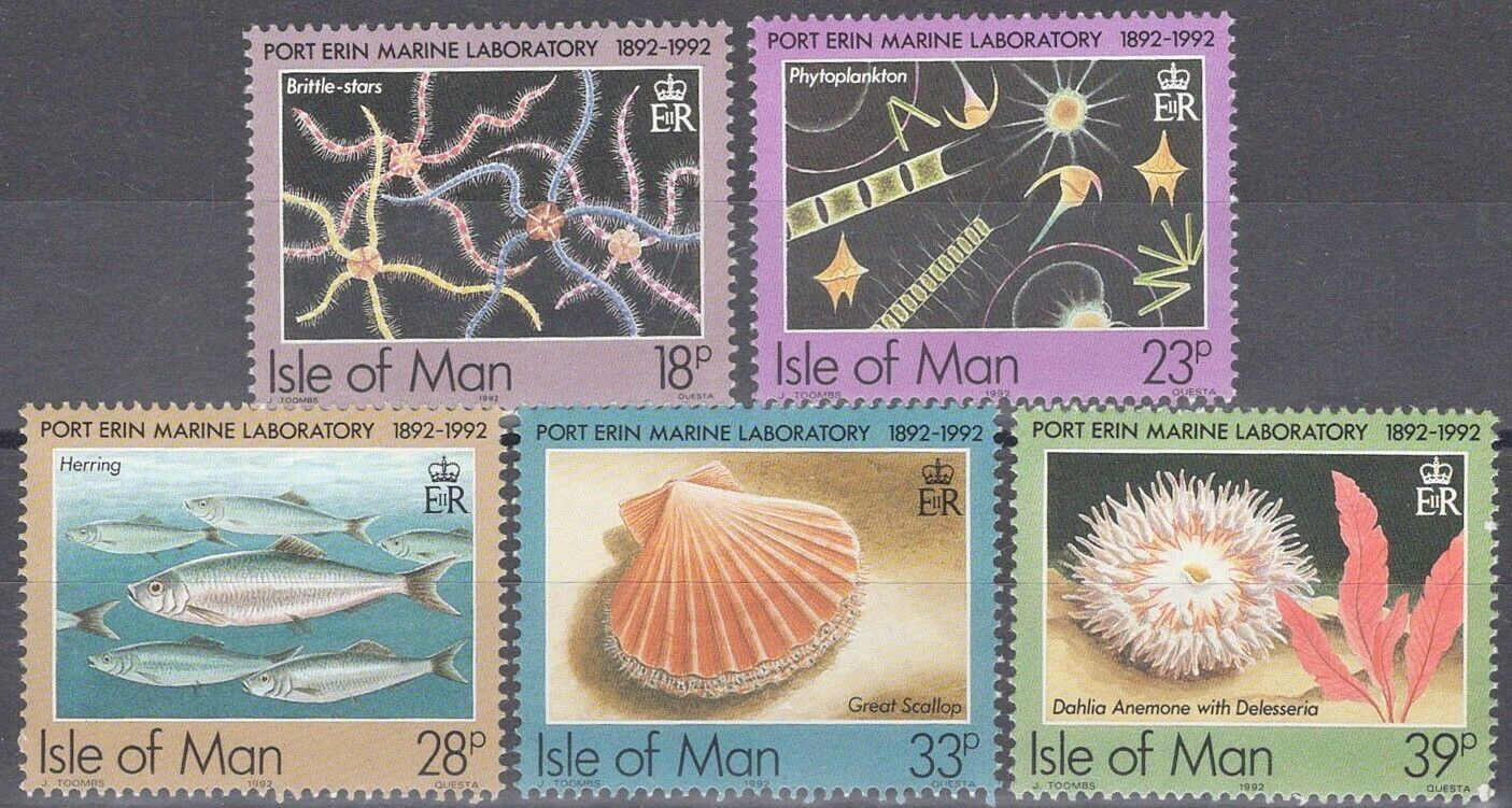 ZAYIX Great Britain - Isle of Man 509-513 MNH Marine Life Anemone Scallop