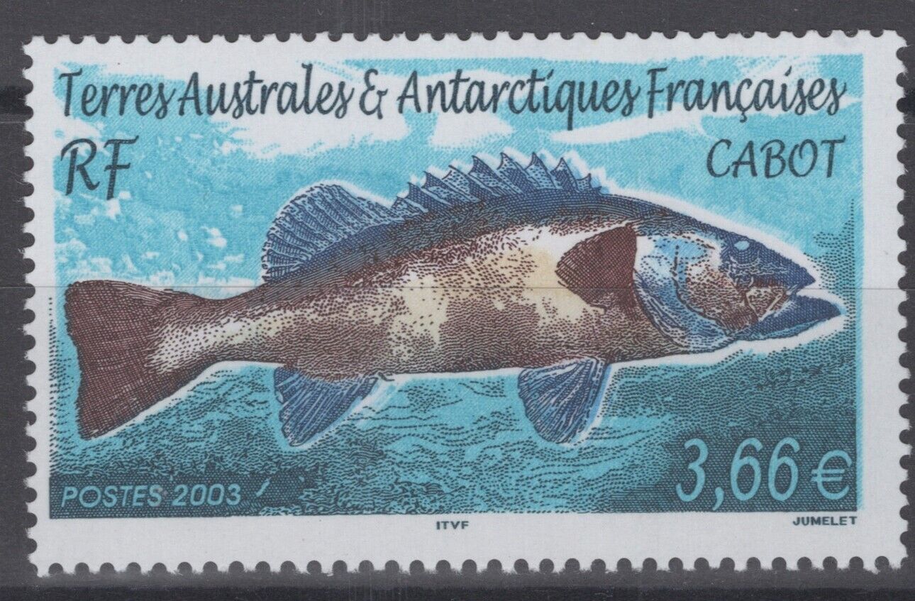 FSAT / TAAF 323 MNH Chub Fish Marine Life Polar 061922S128
