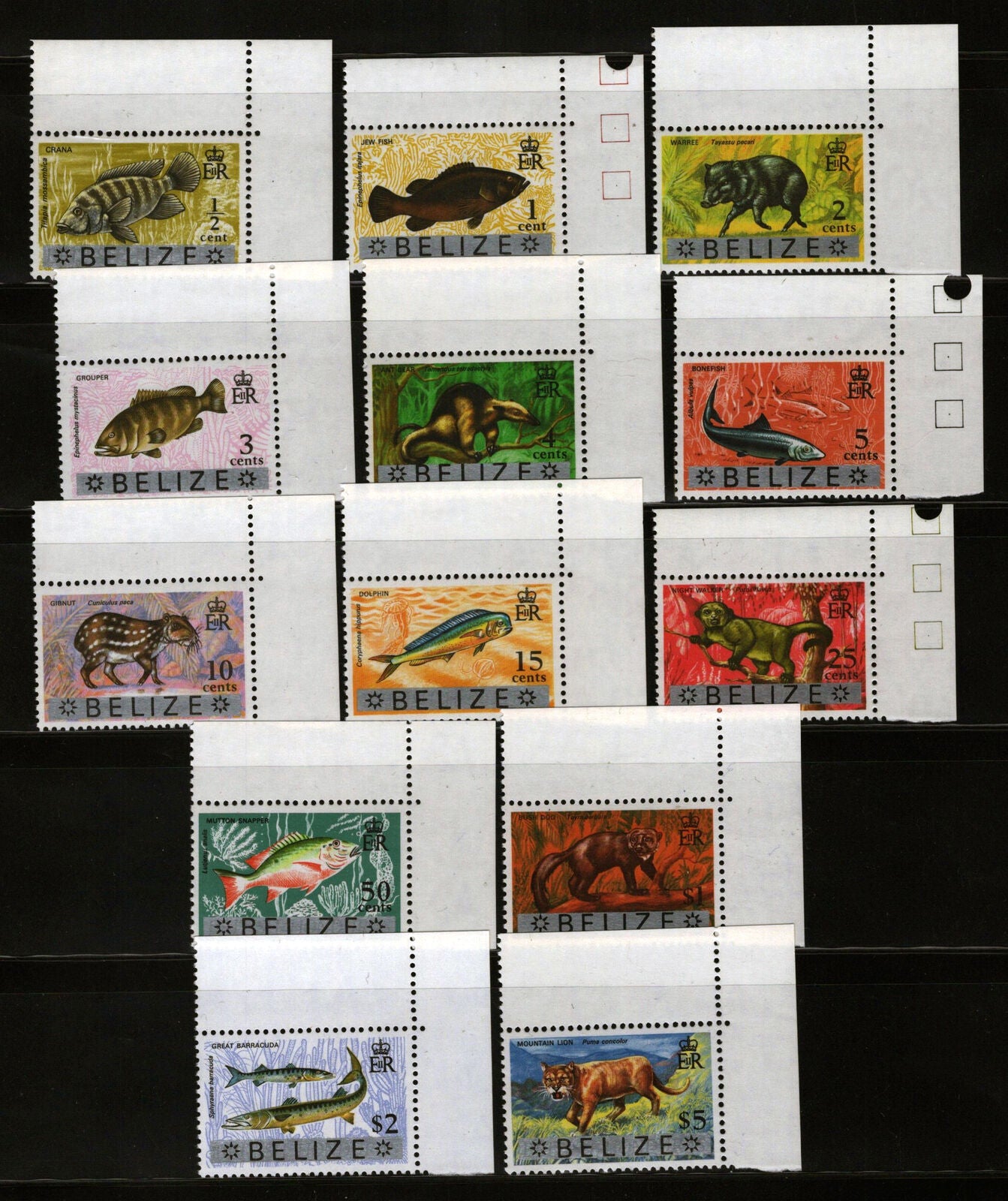 ZAYIX Belize 327-339 MNH Animals Fish Wild Life 082322S248