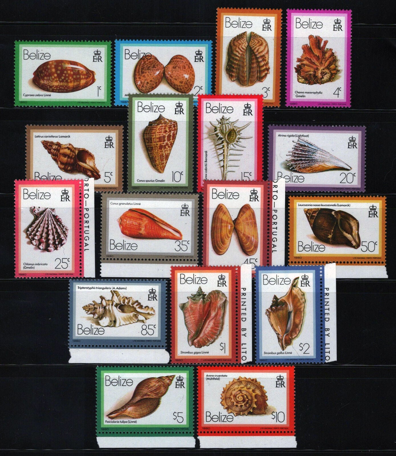 Belize 471-487 MNH Seashells Marine Life 082322S250