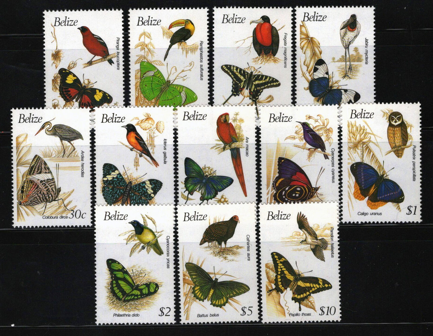 ZAYIX Belize 932-943 MNH Birds Butterflies Nature 083022S101