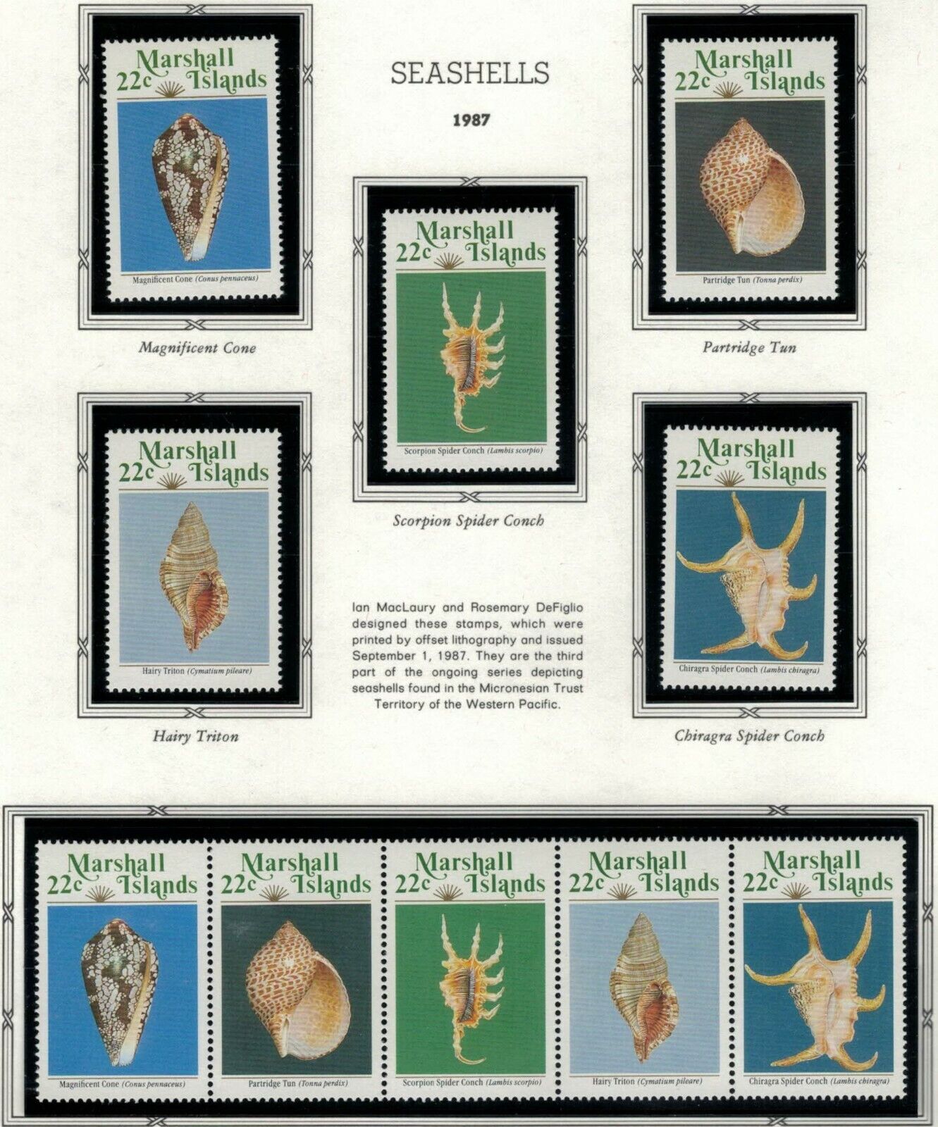 ZAYIX - 1987 Marshall Islands #152-156a MNH - Seashells - Marine Life