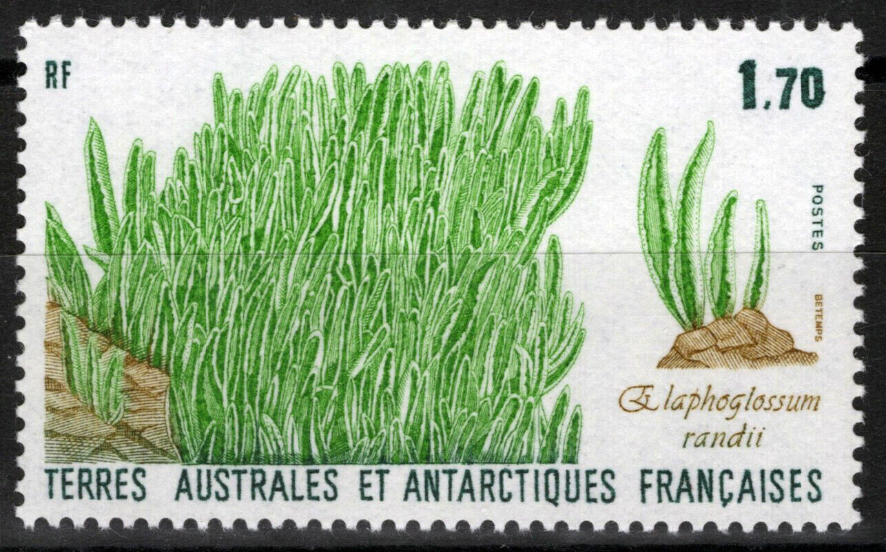 FSAT TAAF 133 MNH Elephant Grass Plants Arctic Nature ZAYIX FSA-S0101M