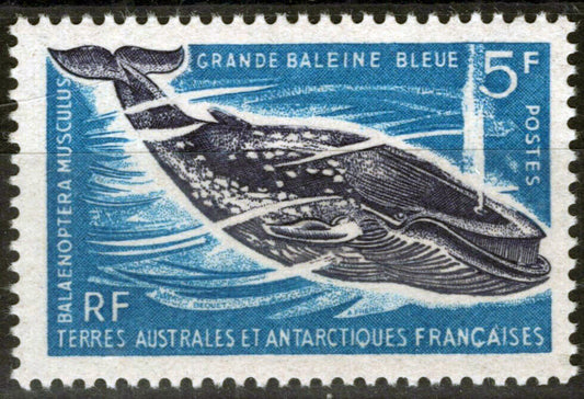 FSAT TAAF 25 MNH Great Blue Whale Marine Life Animals Antarctic ZAYIX FSA-S0034M