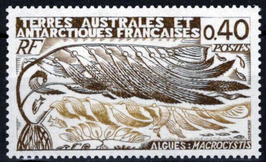 ZAYIX FSAT TAAF 69 MNH Algae Plants Nature Antarctic Polar 060823S42