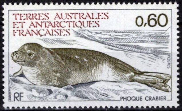 ZAYIX FSAT TAAF 107 MNH Seal Marine Life Animals Polar Antarctic 060823S64