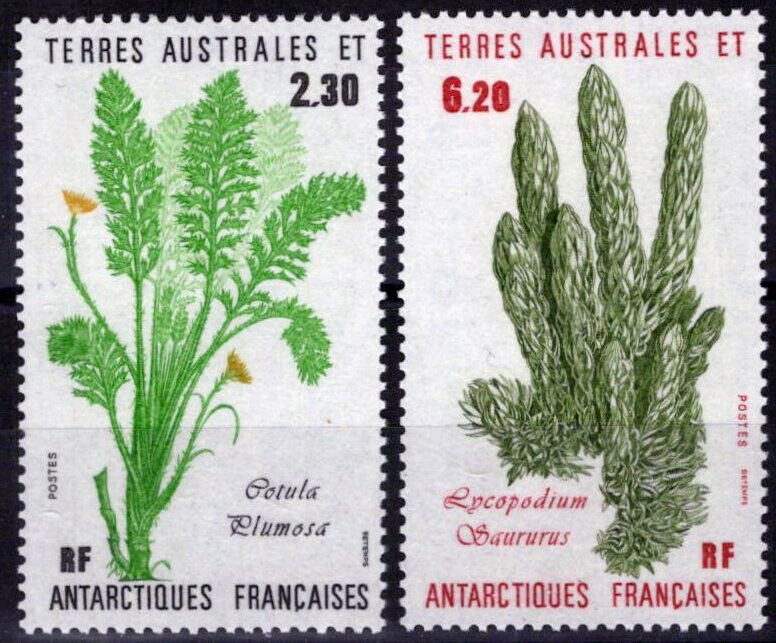 FSAT TAAF 121-122 MNH Plants Nature Polar Antarctic 060823S72