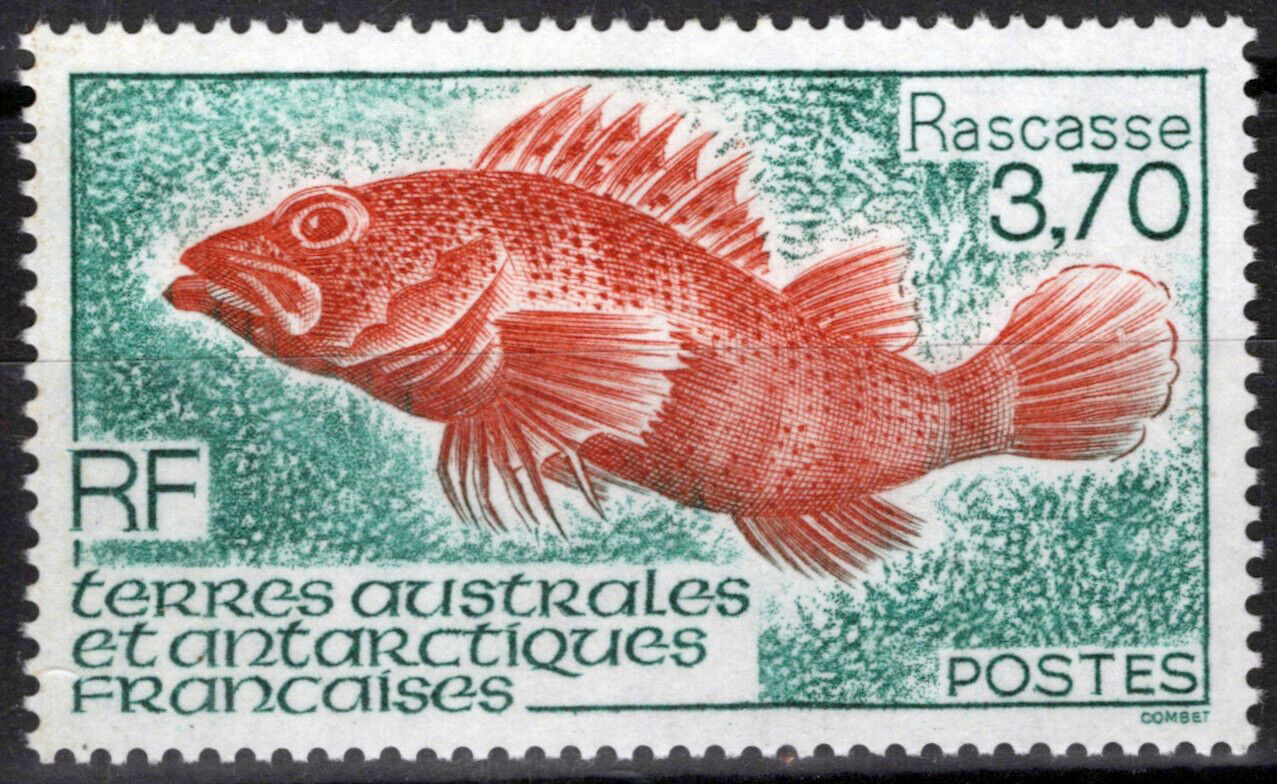 ZAYIX FSAT TAAF 201 MNH Fish Marine Life Polar Antarctic 060823S119M