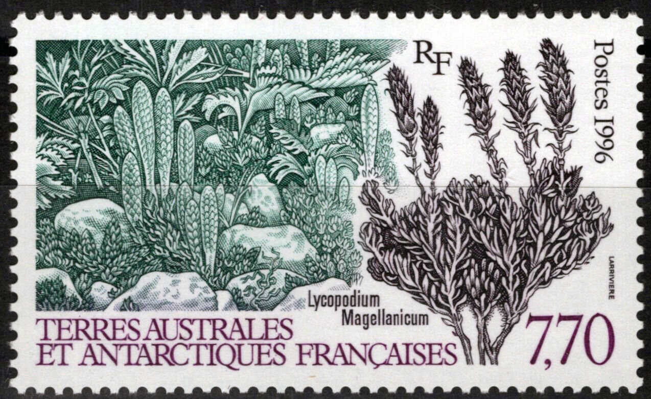 ZAYIX FSAT TAAF 220 MNH Plants Nature Polar Antarctic 060823S132M