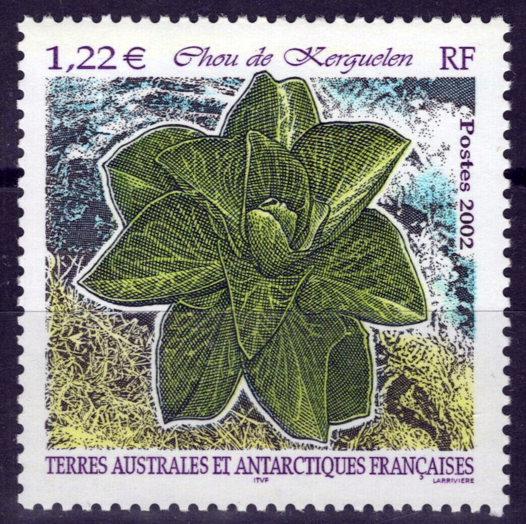 FSAT TAAF 306 MNH Kerguelen Cabbage Food Plants Antarctic 060823S174