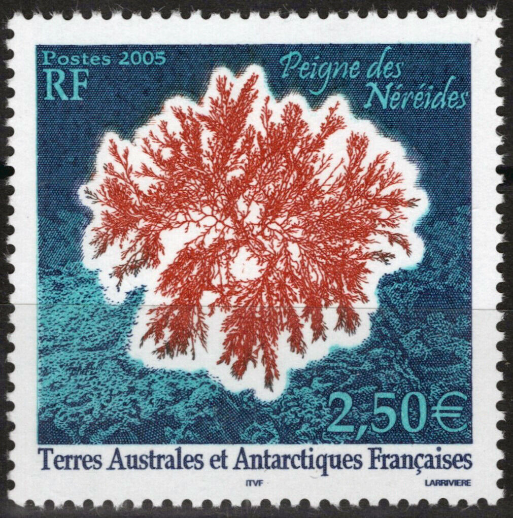 ZAYIX FSAT TAAF 351 MNH Plants Nature Antarctic Polar 061923S02M