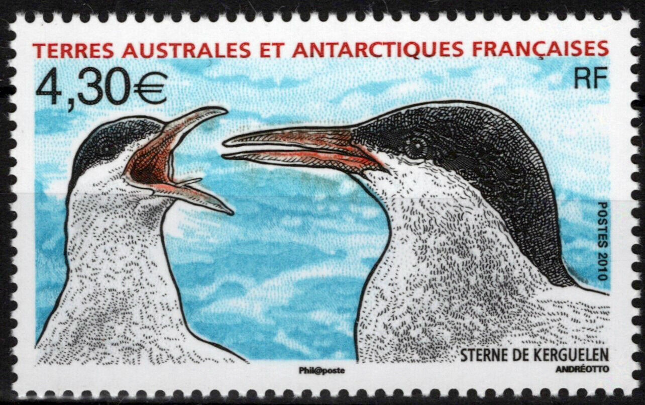 ZAYIX FSAT TAAF 429 MNH Kerguelen Terns Birds Antarctic Polar 061923S48