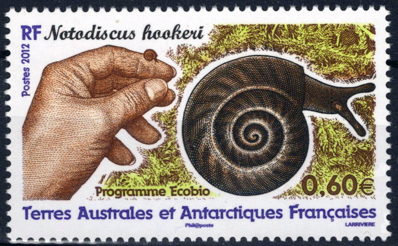 ZAYIX FSAT TAAF 454 MNH Snails Gastropods Nature Antarctic Polar 061923S64