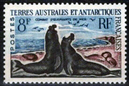 FSAT TAAF 22 MNH Marine Life Elephant Seals Polar Antarctic 092023S06