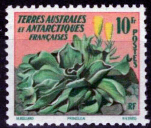 ZAYIX FSAT TAAF 11 MNH Flowers Plants Nature Polar FSA-S0012