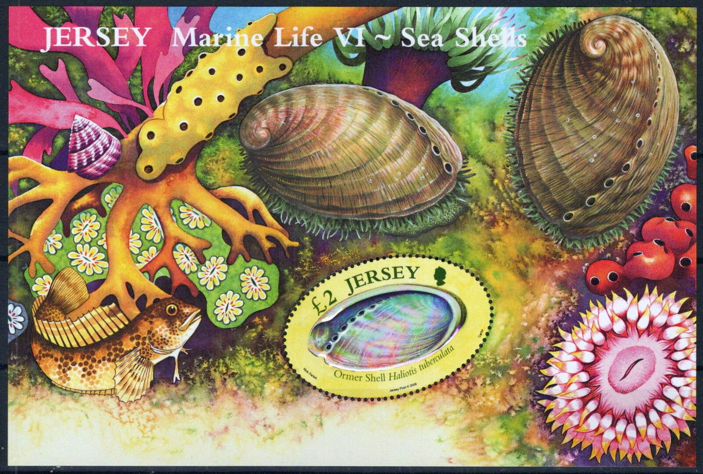 Jersey 1213 MNH Embossed Hologram Seashells Marine Life 092023SM54M