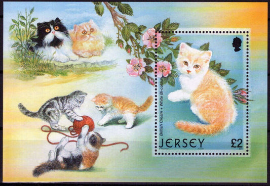 ZAYIX Jersey 1055 MNH Cats Pets Animals 092023SM38M