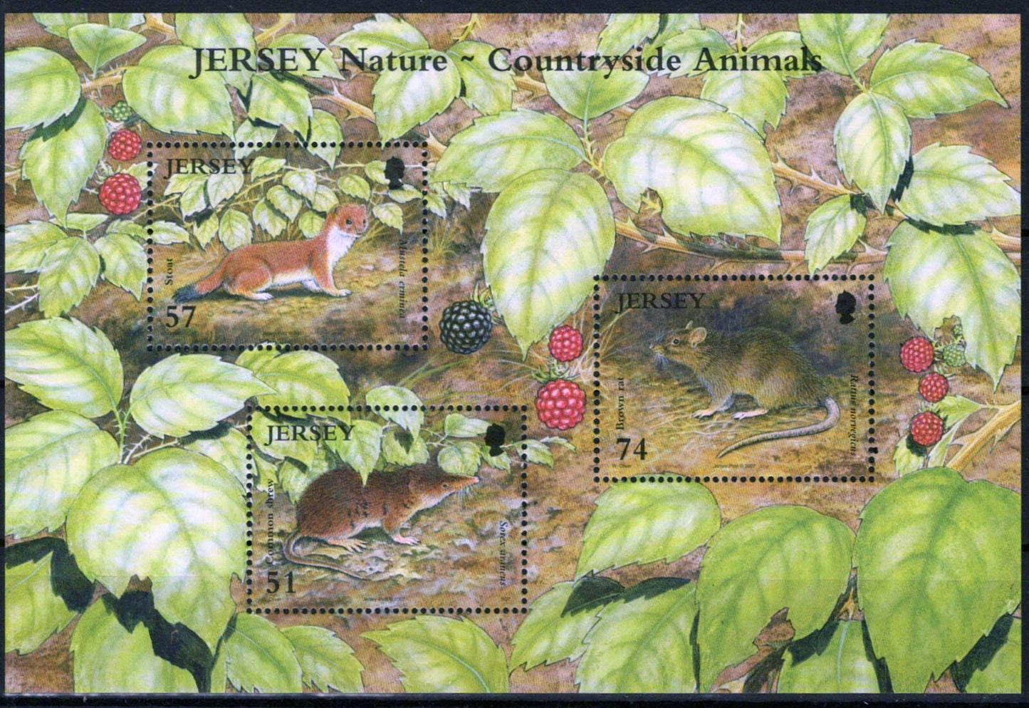 ZAYIX Jersey 1258 MNH Mammals Animals Rats Shrew 092023SM62M