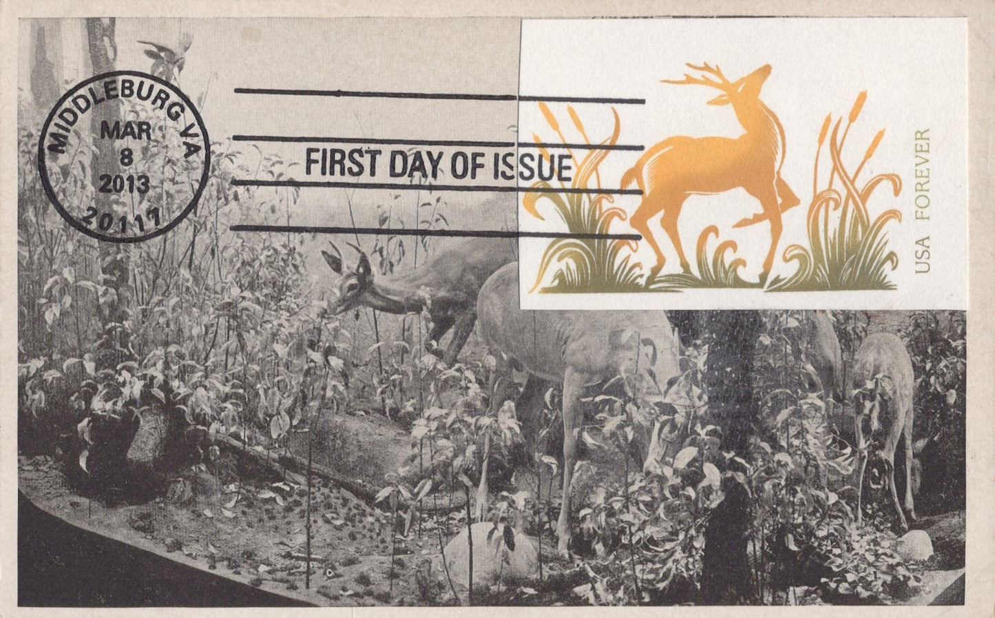 US First Day Cover FDC Maxi Card Northern White-Tail Deer ZAYIX 0924M0298