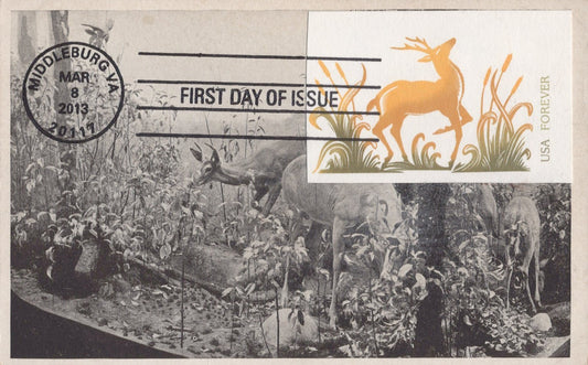 US First Day Cover FDC Maxi Card Northern White-Tail Deer ZAYIX 0924M0298
