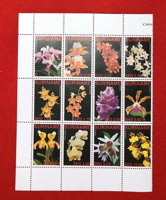 ZAYIX 2007 Suriname 1351 MNH block of 12 - Nature Plants ORCHIDS / FLOWERS