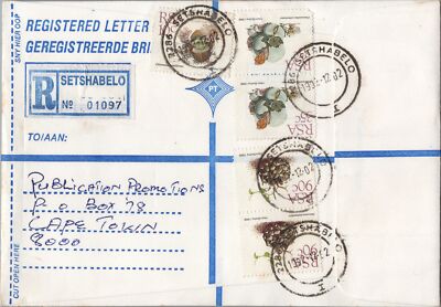 South Africa Registered Cover - Christmas Seals - Setshabelo- Succulents ZAYIX