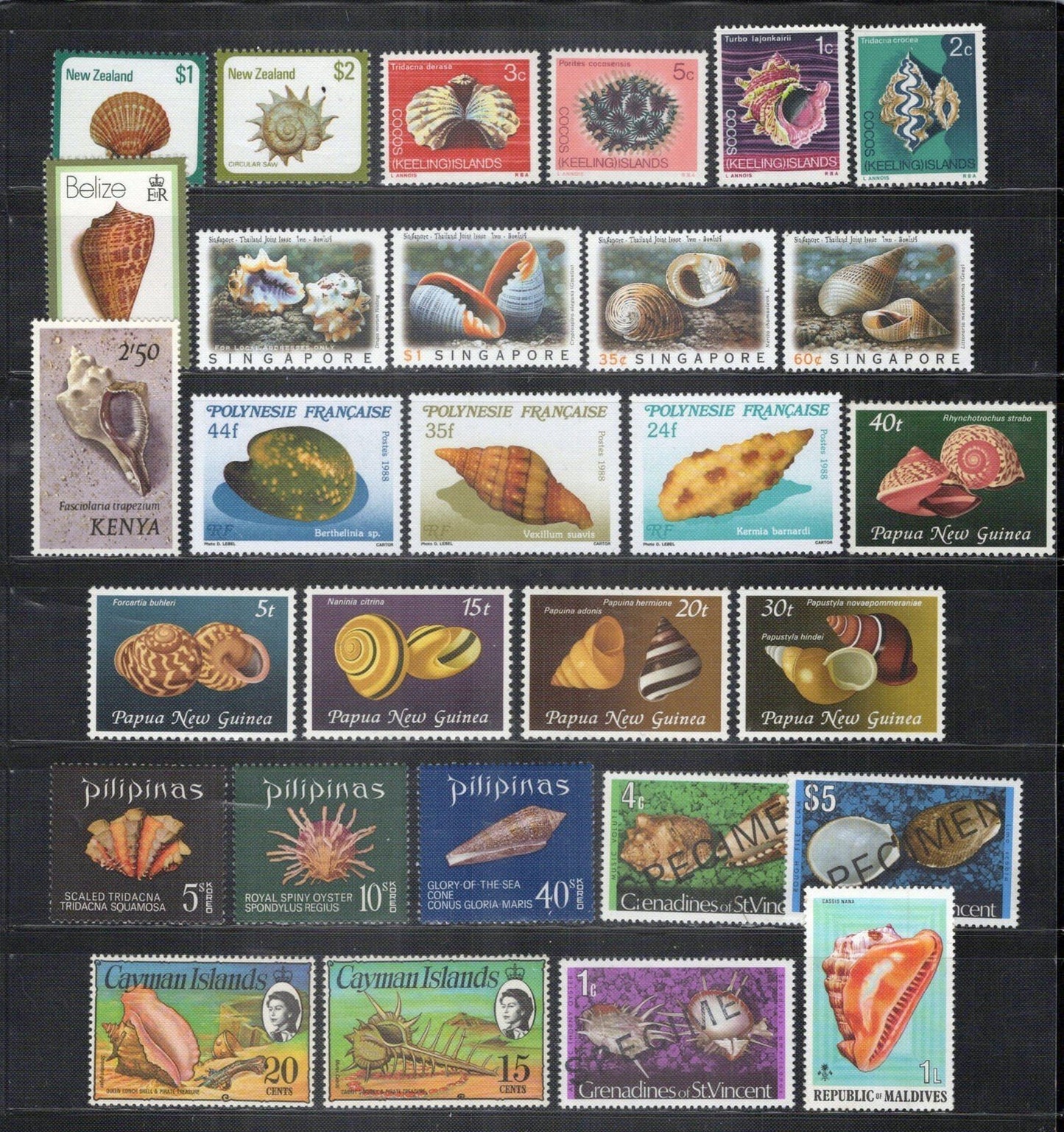 Seashells Stamp Collection MNH Marine Life ZAYIX