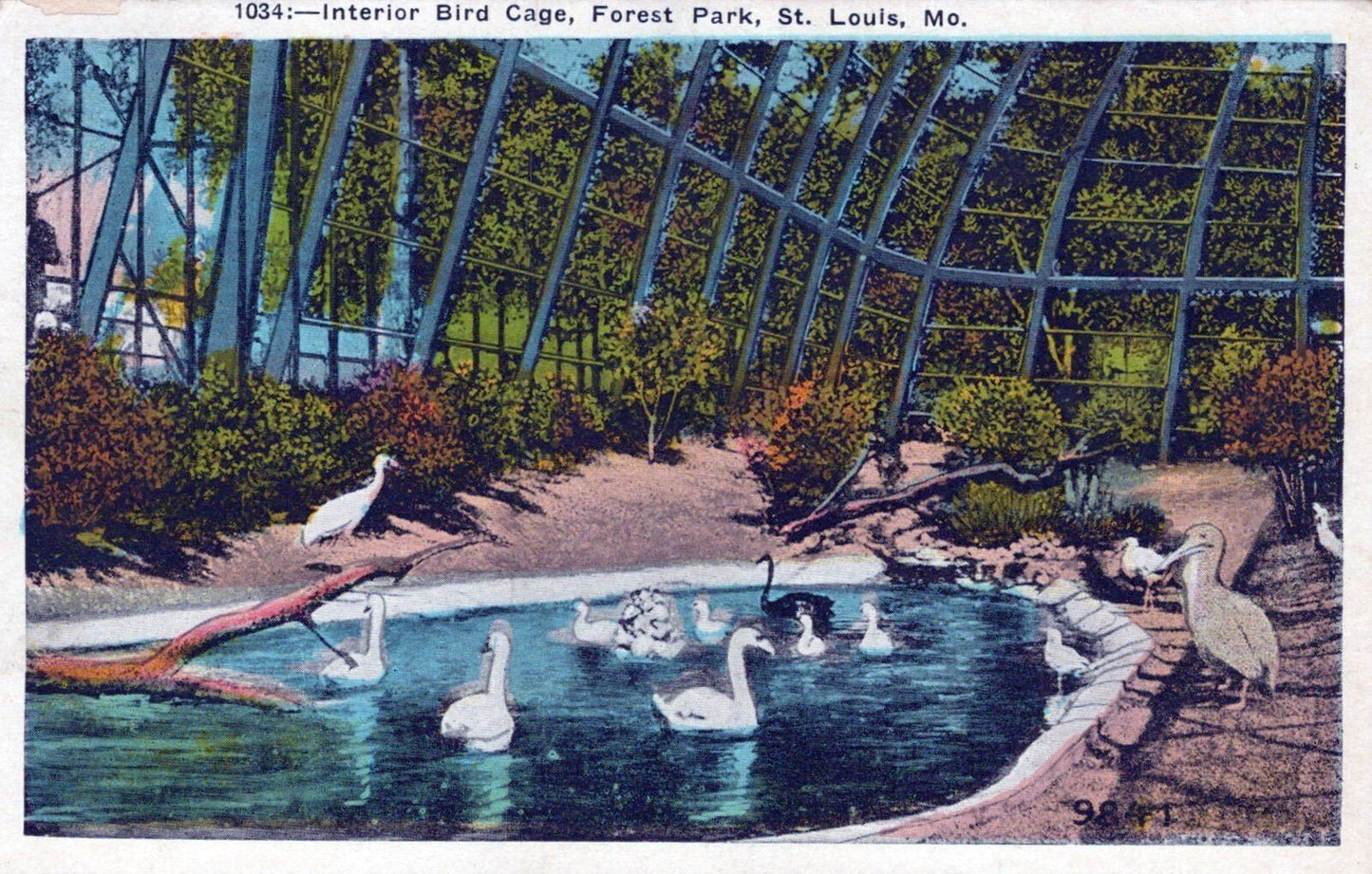 Interior Bird Cage, Forest Park, St. Louis, Mo Swans 0324M0187 ZAYIX Postcard