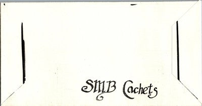 1996 US 3105 FDC Hand Painted SMB Cachet Brown Pelican Birds ZAYIX 051122SM10