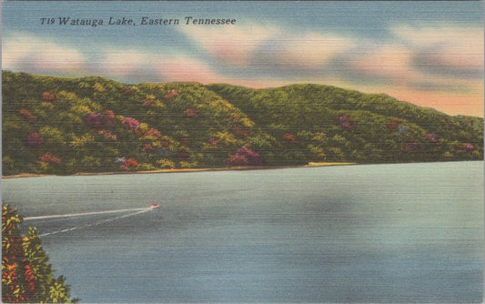Boating on Watauga Lake Tennessee Valley Authority Postcard ZAYIX 090222PC25