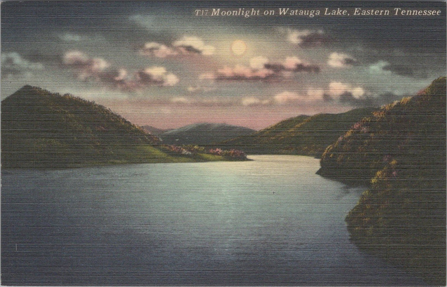 Moonlight on Watauga Lake Eastern Tennessee TVA Postcard ZAYIX 090222PC24