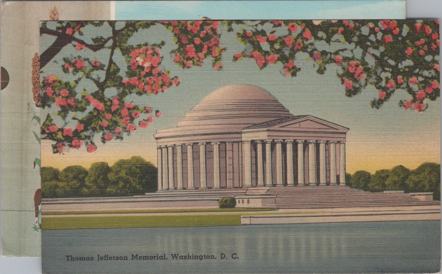 Thomas Jefferson Memorial Cherry Blossoms Washington Postcard ZAYIX 090222PC49