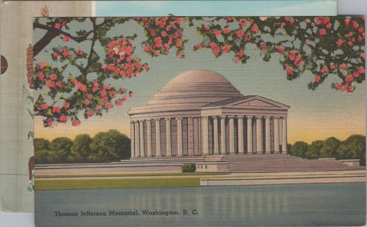 Thomas Jefferson Memorial Cherry Blossoms Washington Postcard ZAYIX 090222PC49