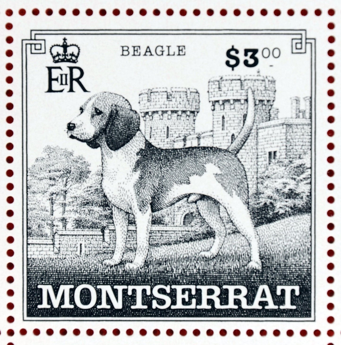 Montserrat 989-993 MNH Dog Breeds Miniature Sheets CV $153 ZAYIX
