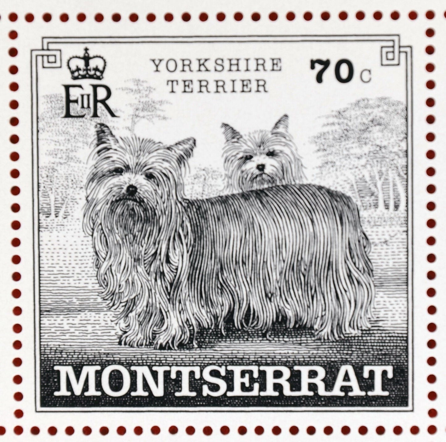 Montserrat 989-993 MNH Dog Breeds Miniature Sheets CV $153 ZAYIX