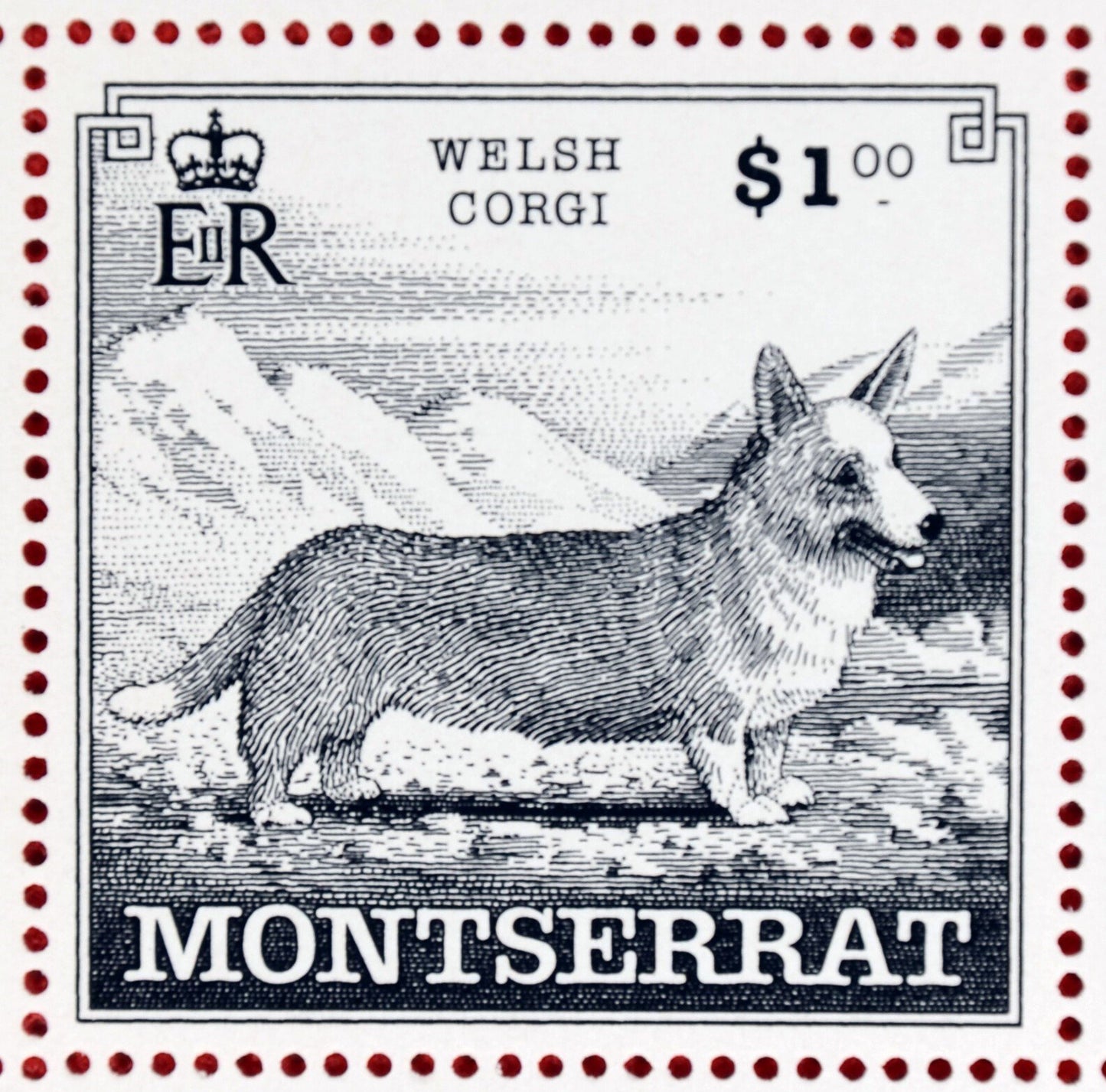 Montserrat 989-993 MNH Dog Breeds Miniature Sheets CV $153 ZAYIX