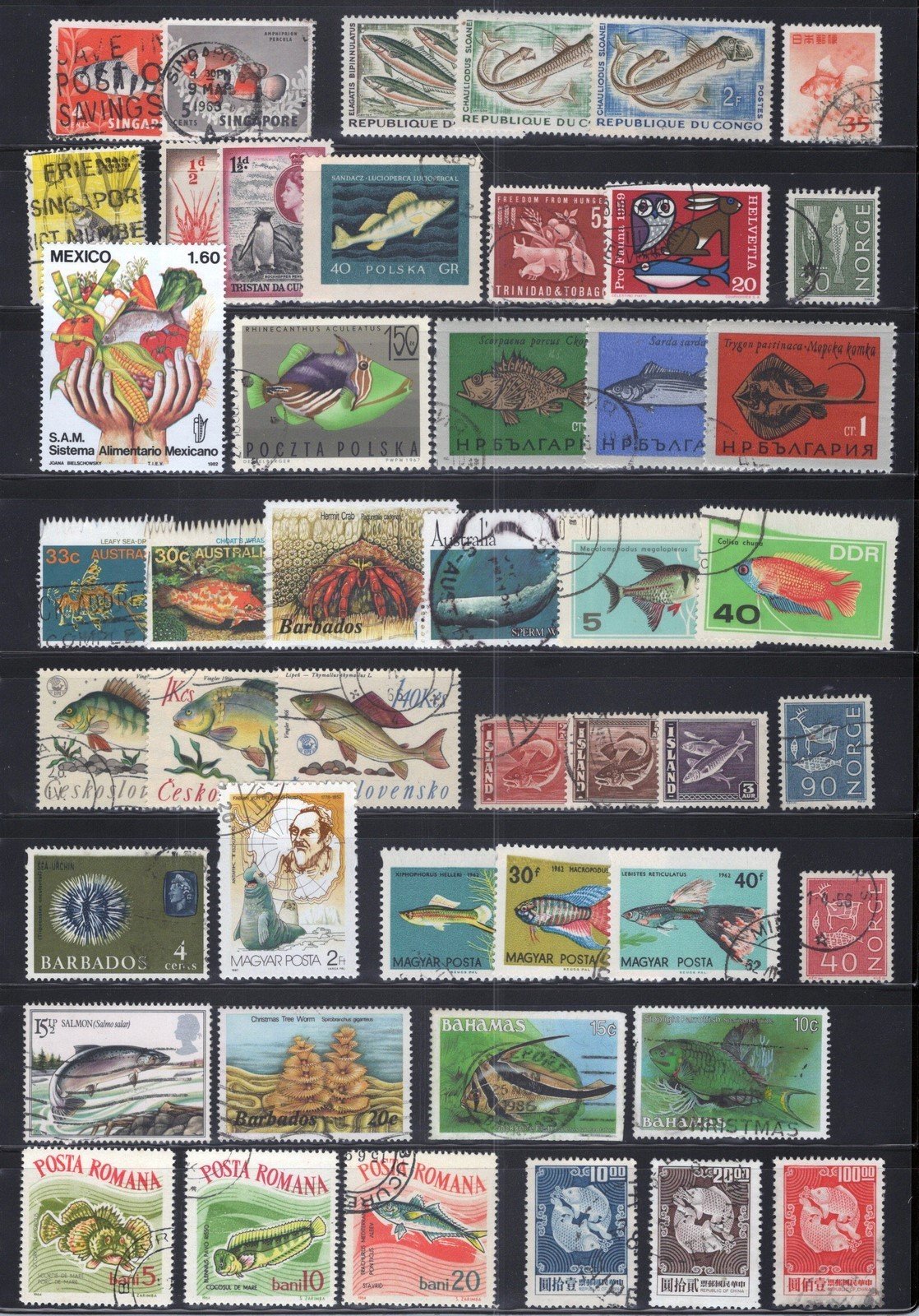 Fish Collection Worldwide Mint/Used Marine Life Crabs Coral ZAYIX 011023SM33