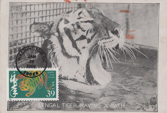 US Maxi Card FDC Lunar New Year of Tiger ZAYIX 0924M0524