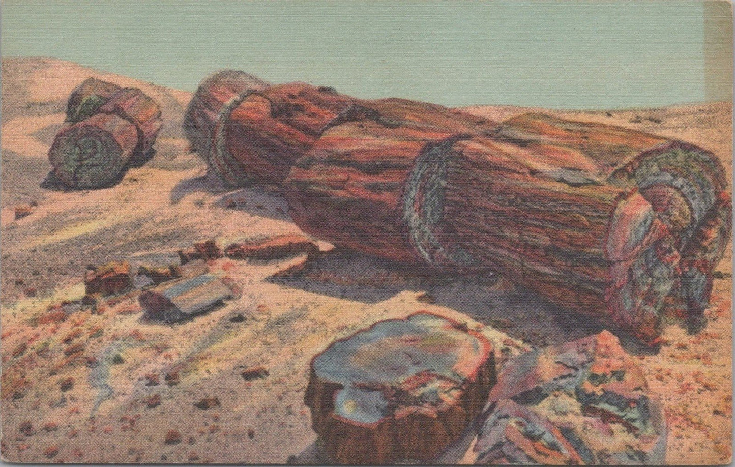 Petrified Forest Giant Logs Rainbow Forest Arizona Postcard ZAYIX 083022PC49