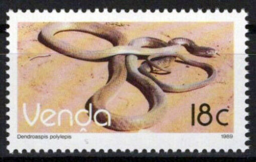 South Africa Venda 141 MNH Reptiles Snakes ZAYIX 0424S0088M